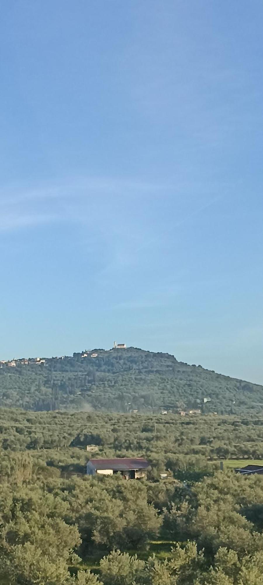 Hector'S Studios Αλυκανάς Εξωτερικό φωτογραφία