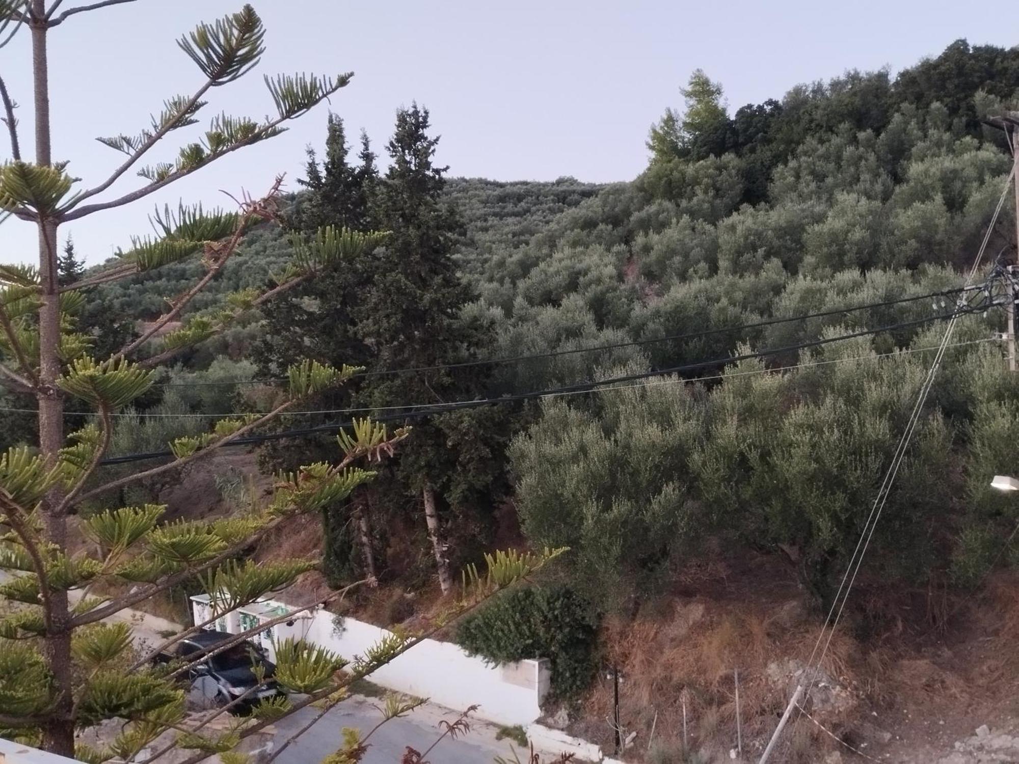 Hector'S Studios Αλυκανάς Εξωτερικό φωτογραφία